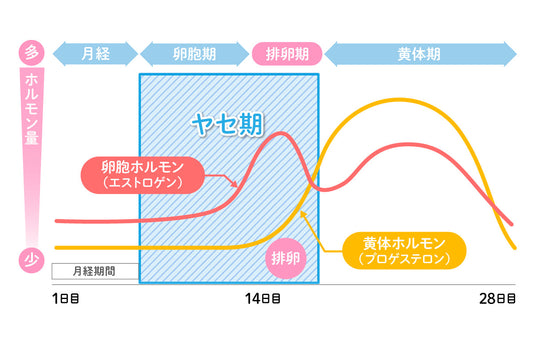 女性が痩せやすい時期を知ることがとても大切!