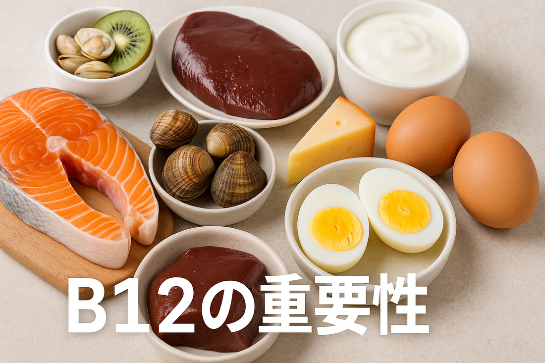 【多摩市のダイエット専門パーソナルジム】エネルギー代謝を加速！ビタミンB12でダイエット効率を高める方法